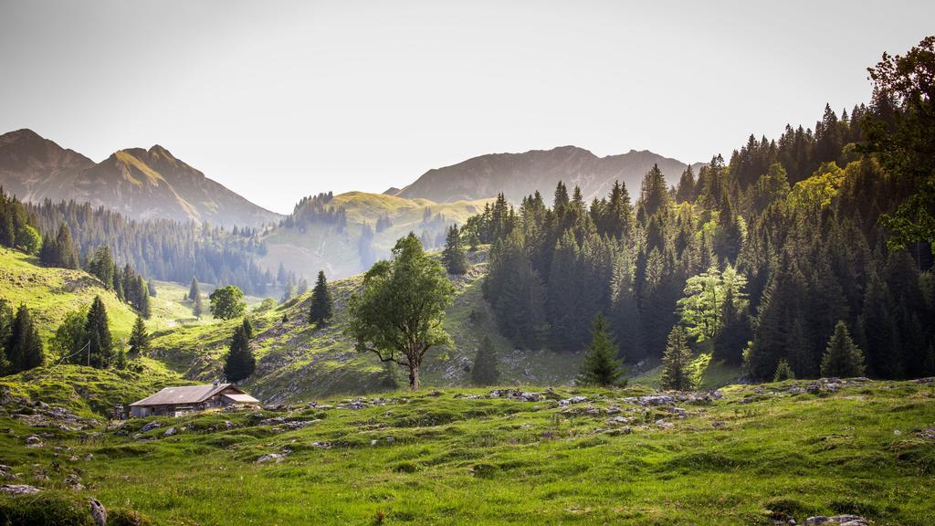 Hostellerie Am Schwarzsee Bad-Schwarzsee エクステリア 写真