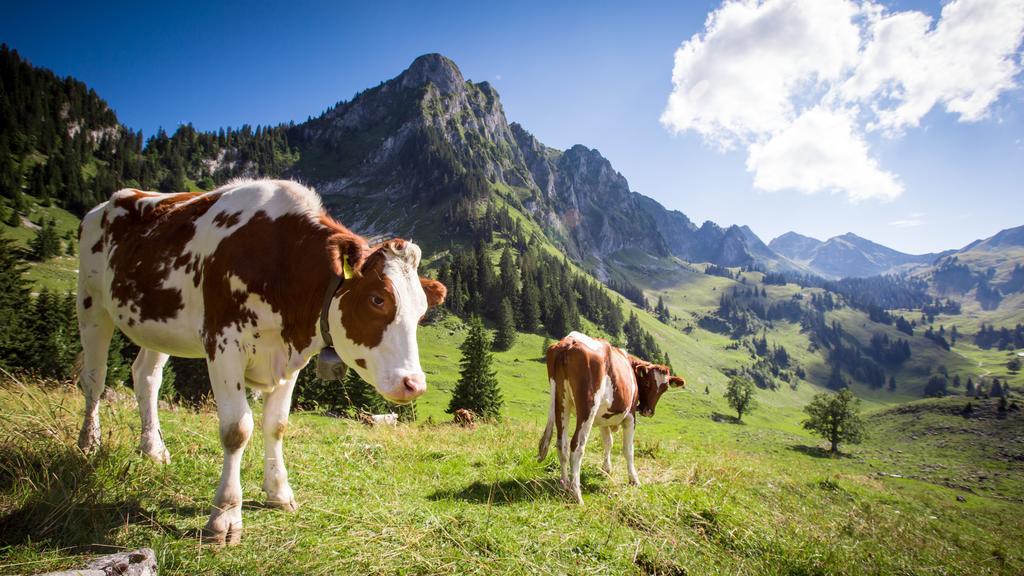 Hostellerie Am Schwarzsee Bad-Schwarzsee エクステリア 写真