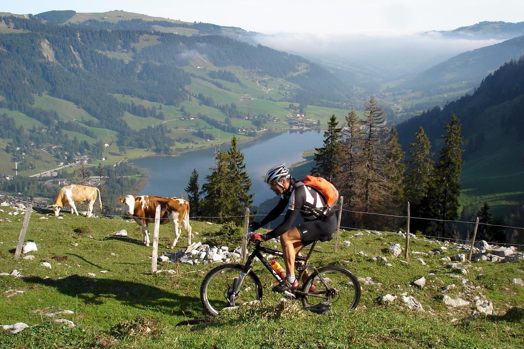 Hostellerie Am Schwarzsee Bad-Schwarzsee エクステリア 写真