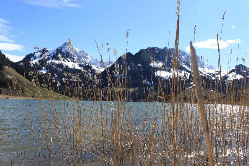Hostellerie Am Schwarzsee Bad-Schwarzsee エクステリア 写真